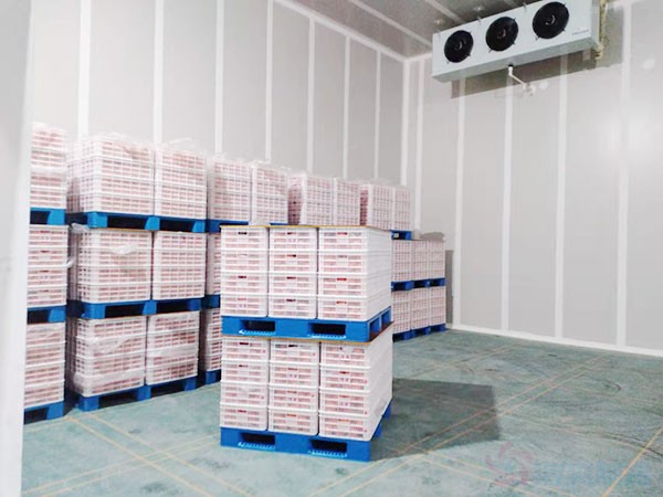 冷庫安裝價(jià)格多少錢