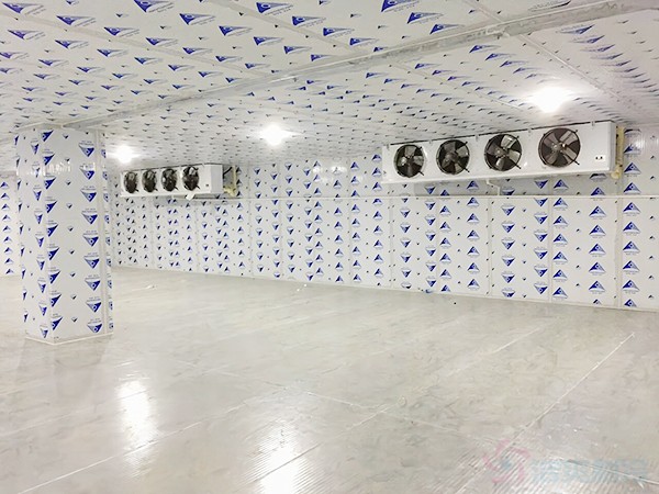 銅陵疾控自動化冷庫溫度標(biāo)準