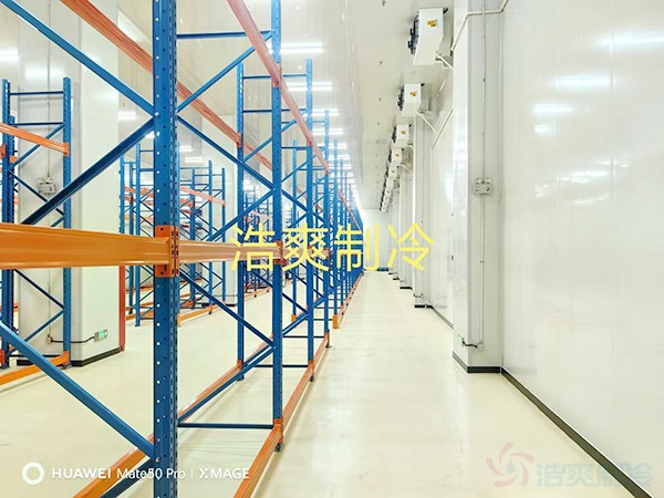 河北2-8℃醫(yī)藥標(biāo)準(zhǔn)冷庫設(shè)計多少錢？