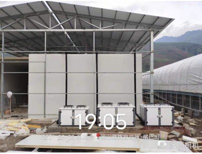 四川桑枝食用菌現(xiàn)代農(nóng)業(yè)園區(qū)氣調(diào)保鮮冷庫工程建造案例