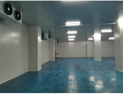 伊利乳業(yè)高標(biāo)準(zhǔn)乳制品加工冷鏈倉儲冷庫建造工程案例