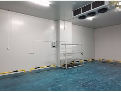 伊利乳業(yè)高標(biāo)準(zhǔn)乳制品加工冷鏈倉儲冷庫建造工程案例