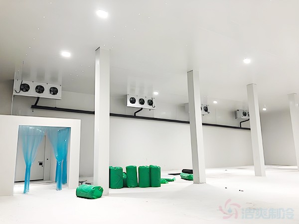 1000平米冷庫建造