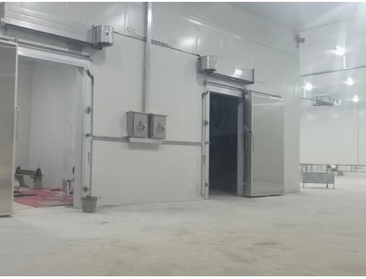 廣西大化起點(diǎn)農(nóng)牧2000m3畜禽肉類屠宰加工冷鏈中心建造冷庫(kù)工程案例