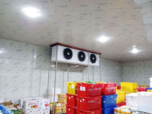 中低溫凍庫建造