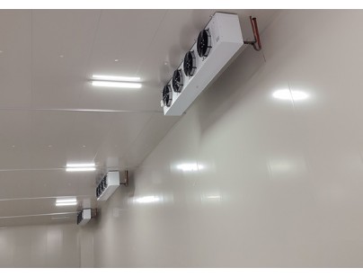 安徽翔威供應(yīng)鏈14500m3保稅區(qū)冷鏈物流冷庫工程建造案例