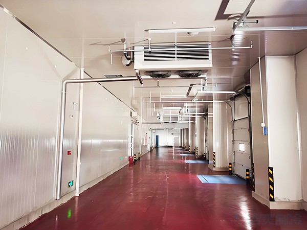 3千噸冷庫(kù)建設(shè)