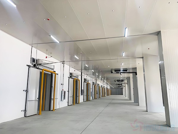 冷庫建設(shè)造價