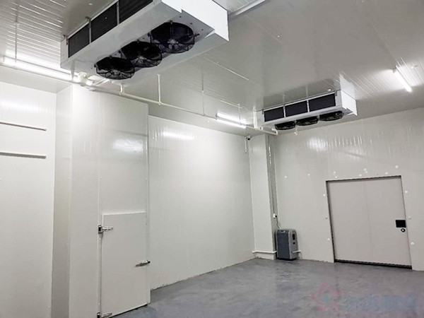 試劑冷庫建設(shè)