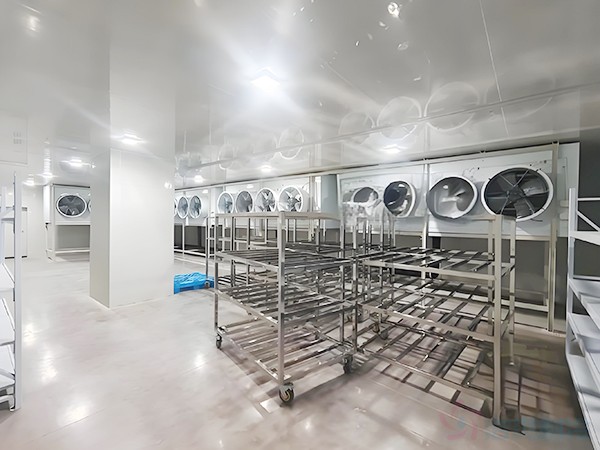 快速凍庫(kù)安裝