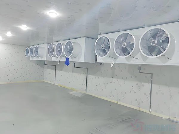 急凍冷庫(kù)建造