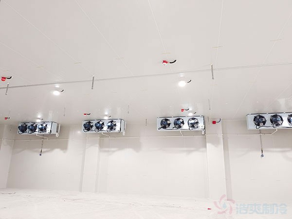 雙溫防爆冷庫建造